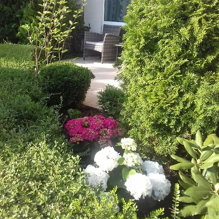 With Terrace Burgas City