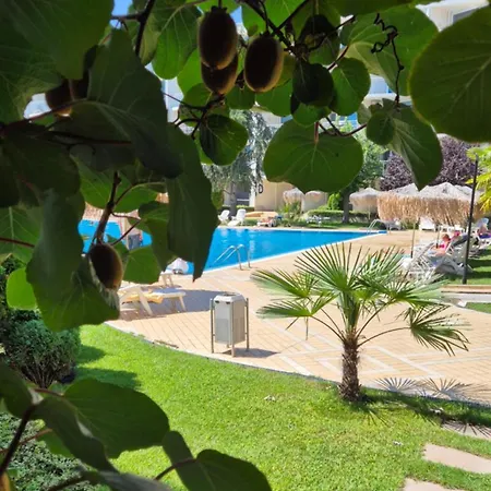 With Terrace * 布尔加斯