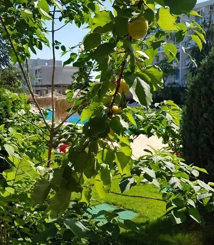 With Terrace * Бургас